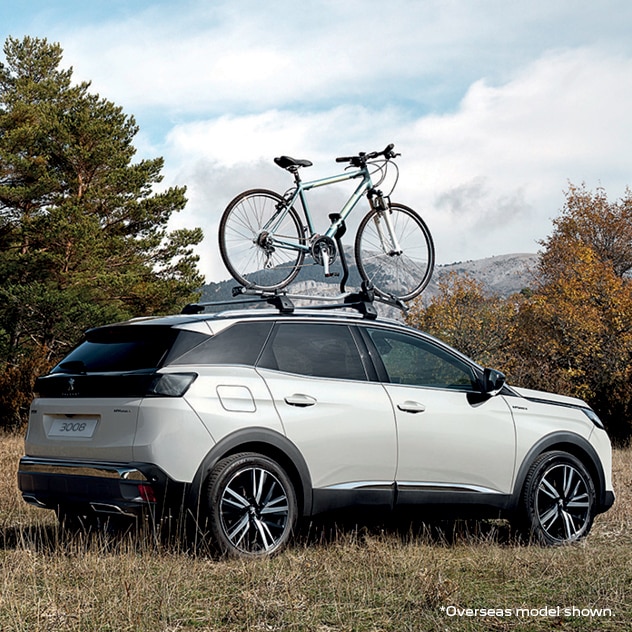 peugeot 3008 bike rack